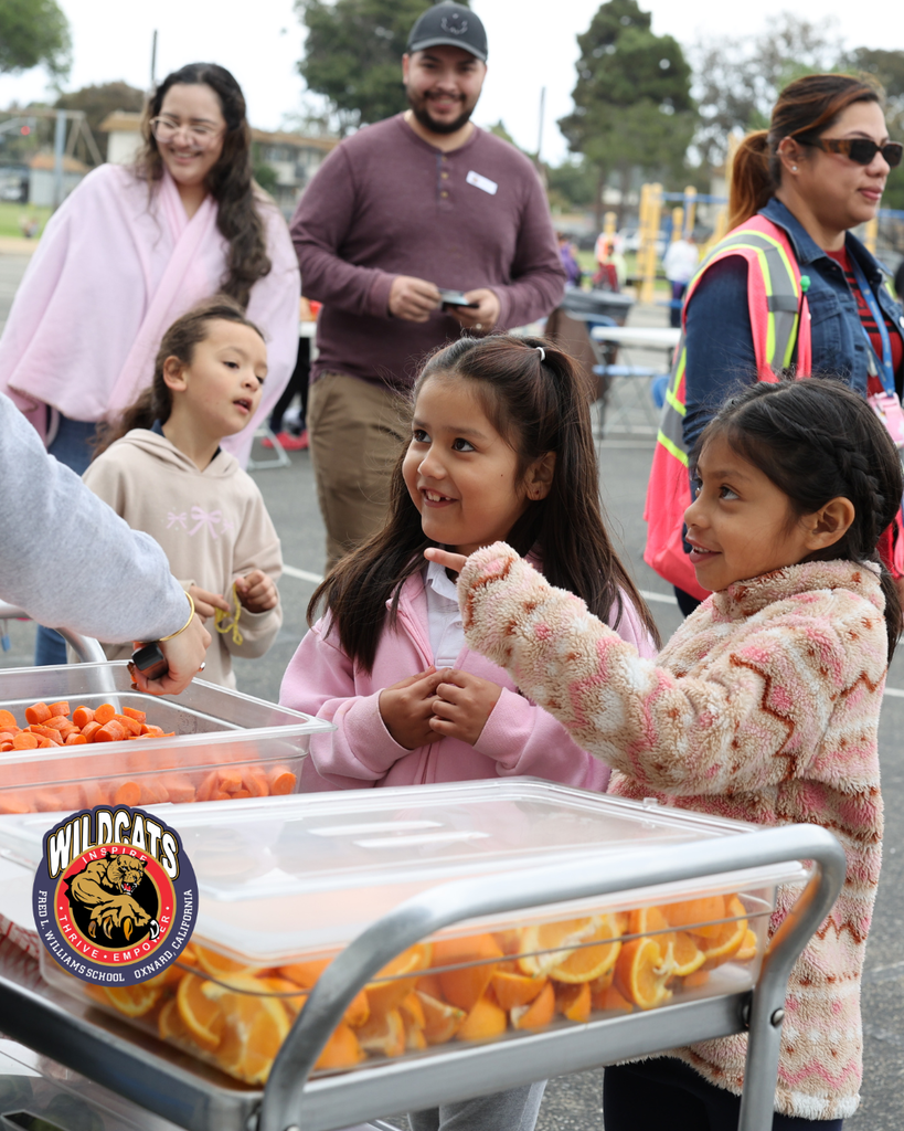 williams family picnic