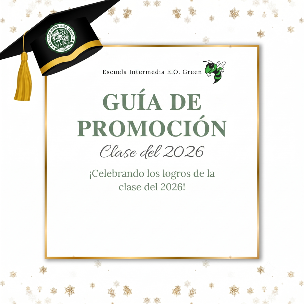 Promotion Guide in Spanish 
