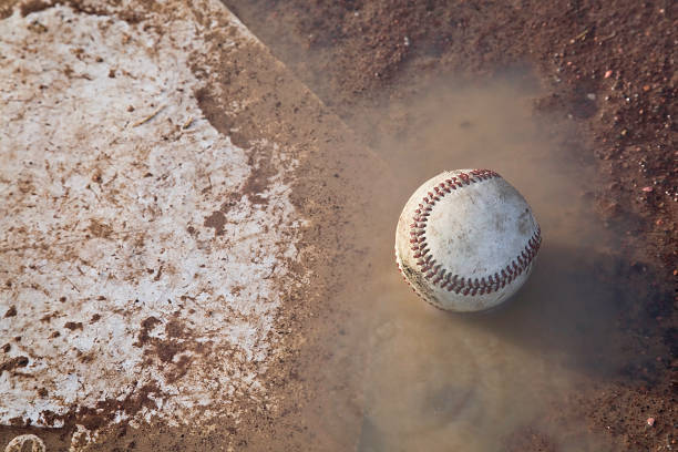 Wet Field