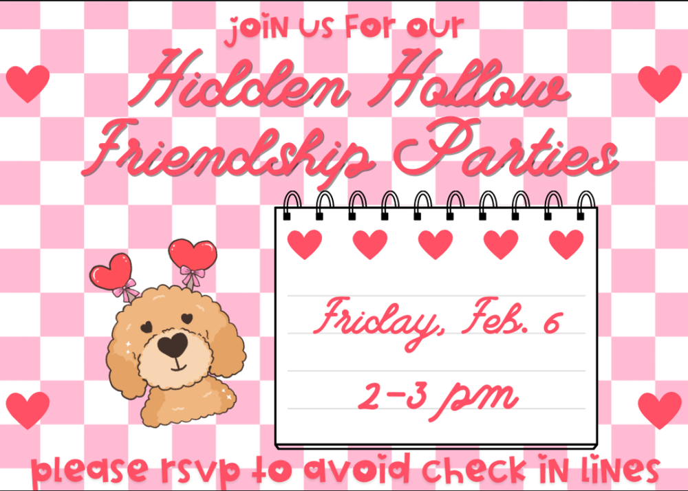 Friendship Parties 26