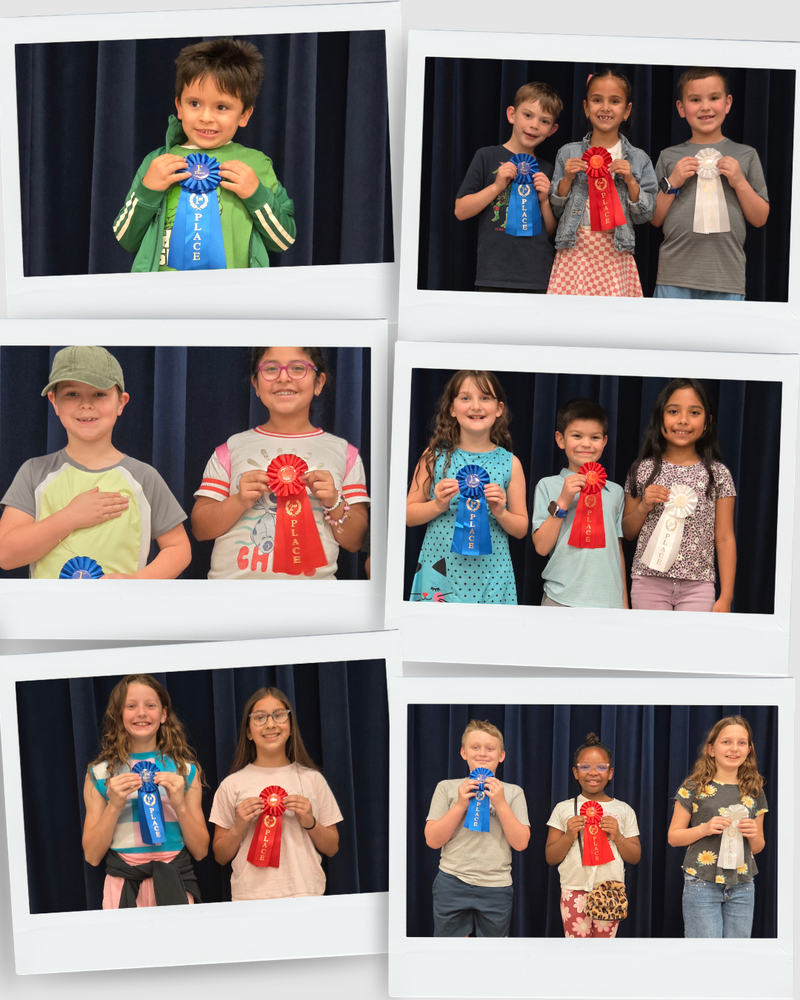 Science Fair Winners