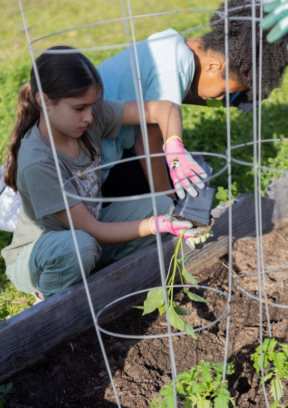 Garden club members planting