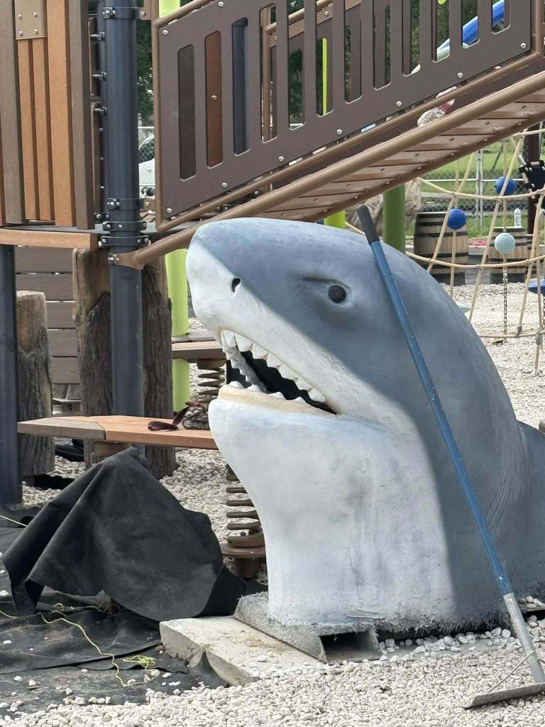 PFE shark