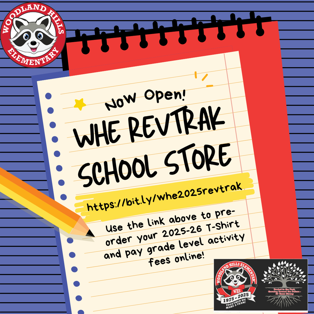 Revtrak Flyer