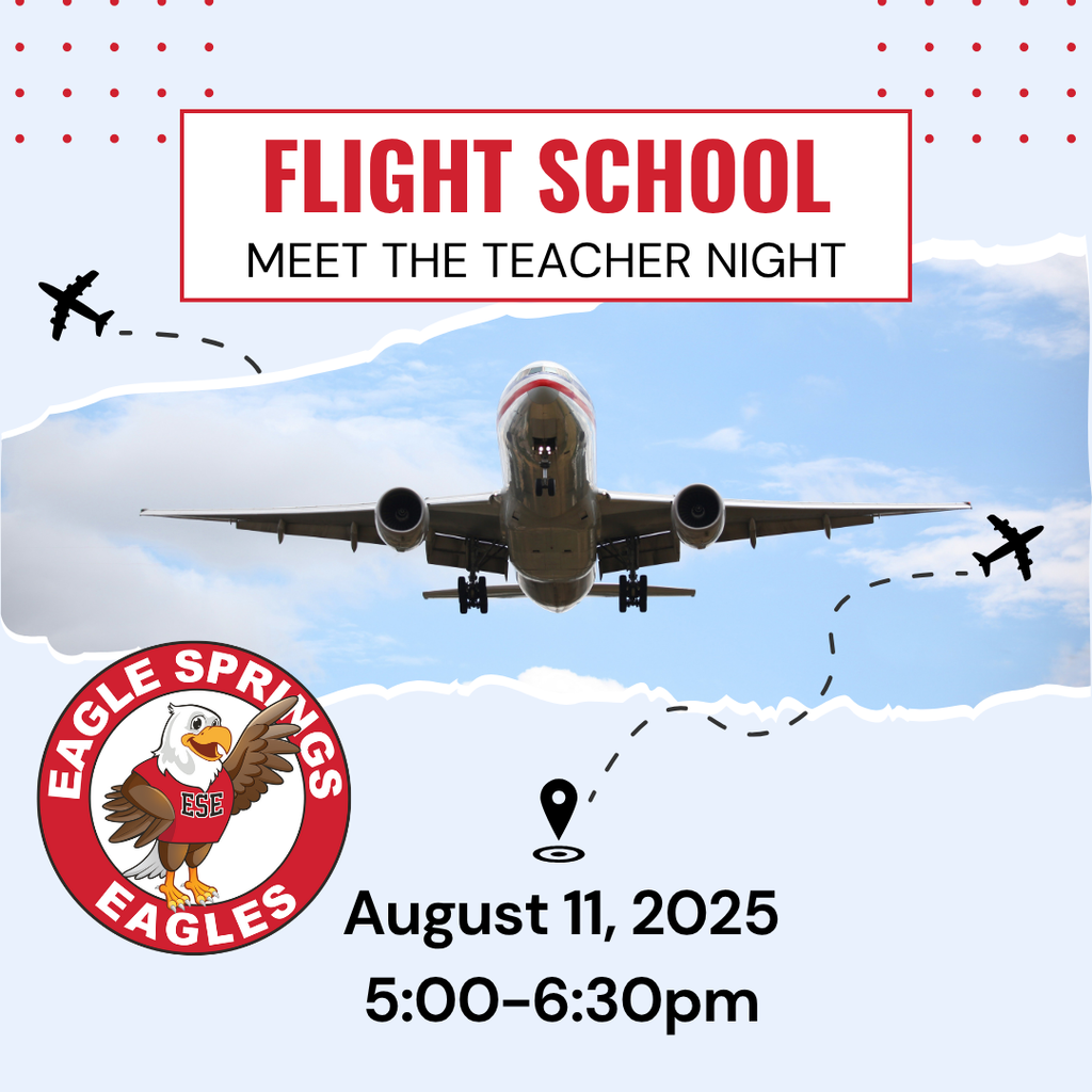 Flight School image