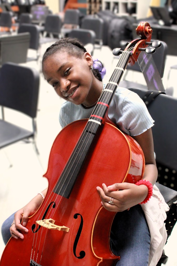 Orchestra