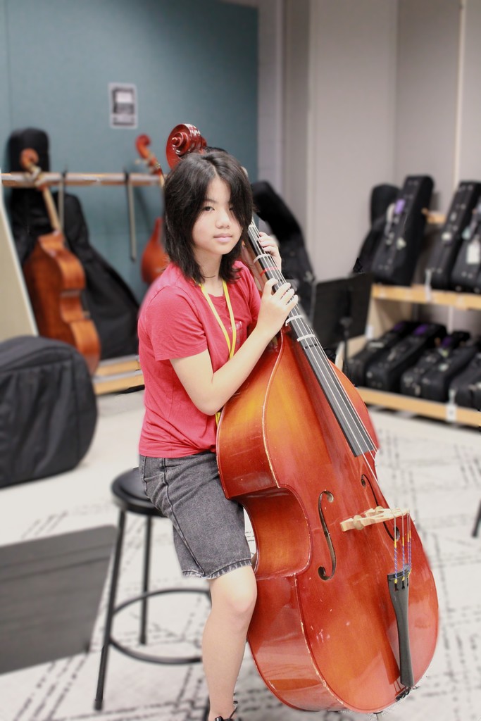 orchestra2