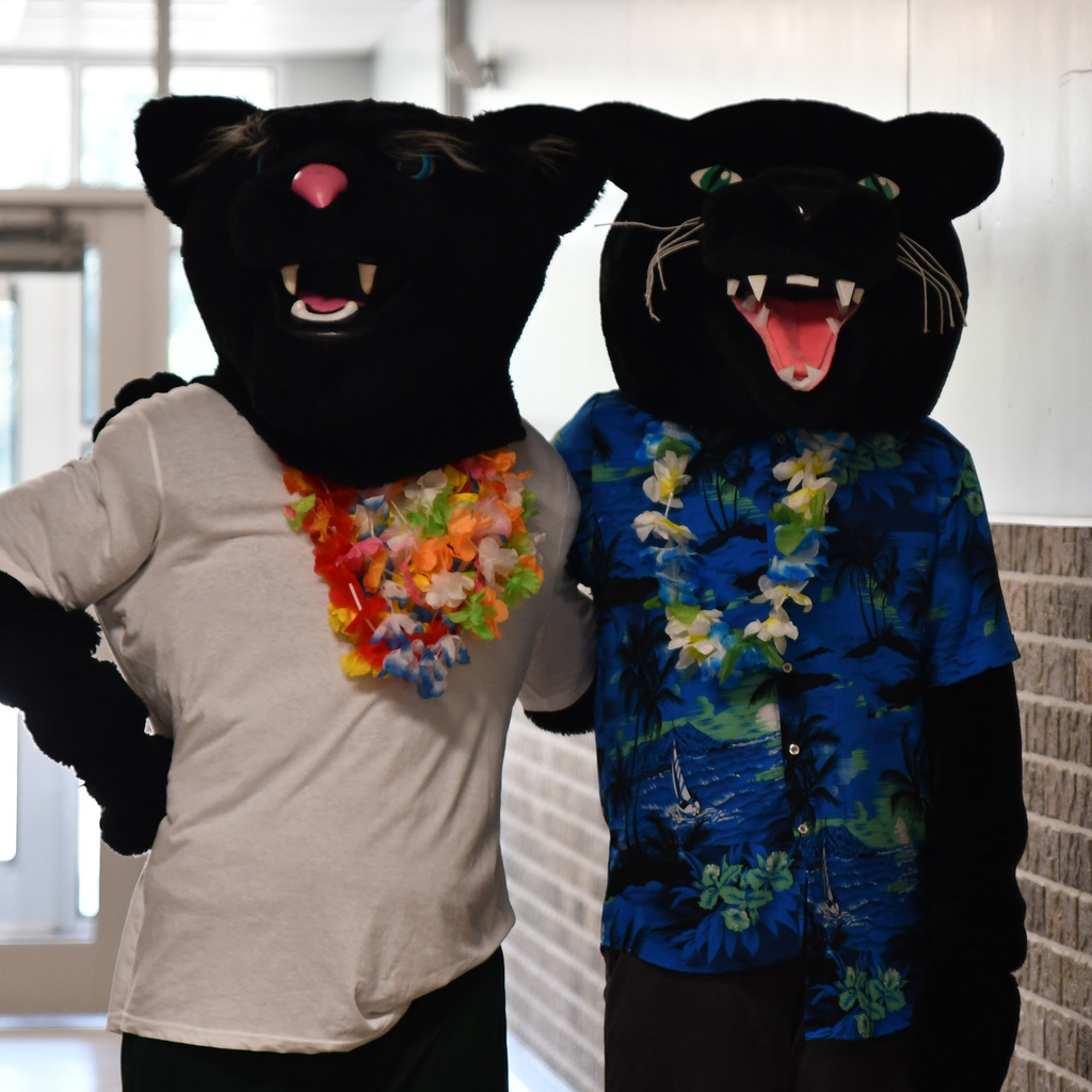 mascots
