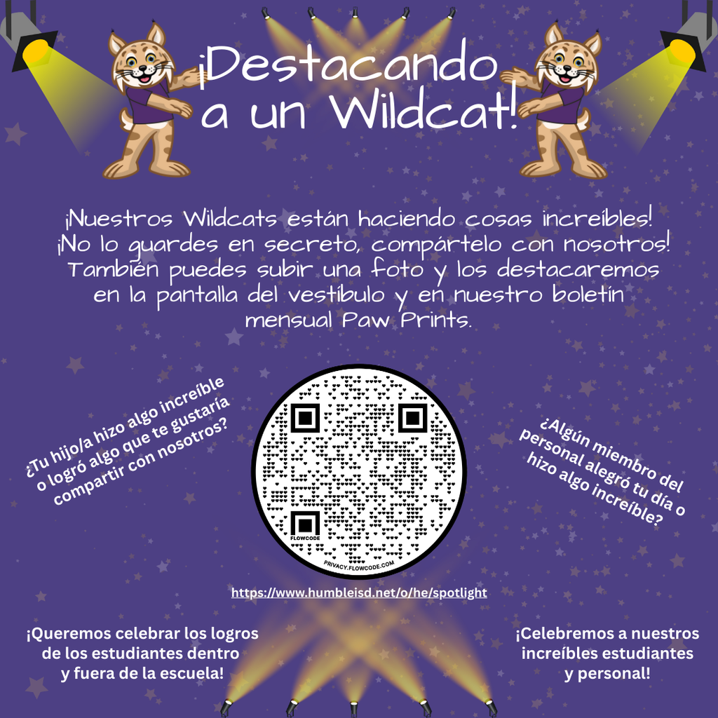 Spotlight - Spanish