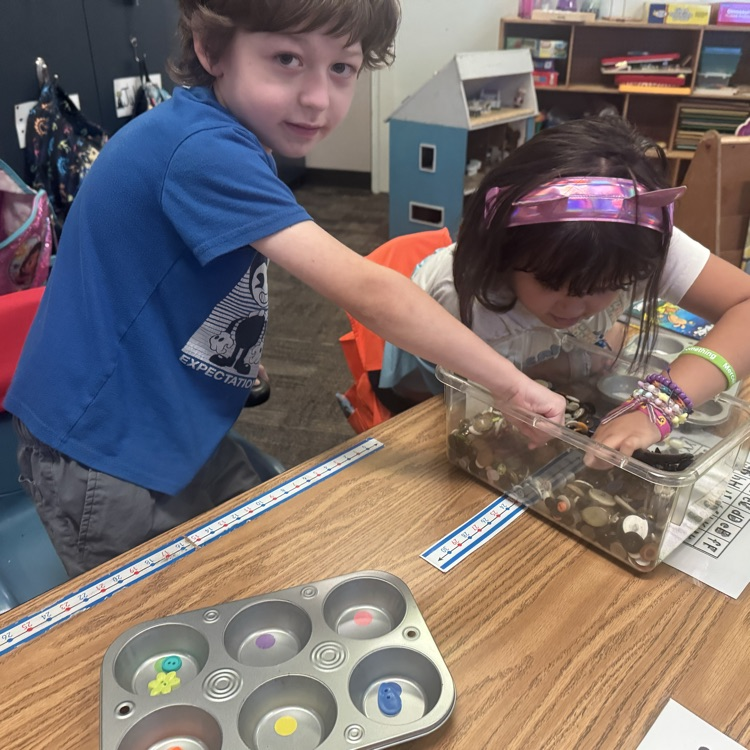 students sorting and counting buttons 