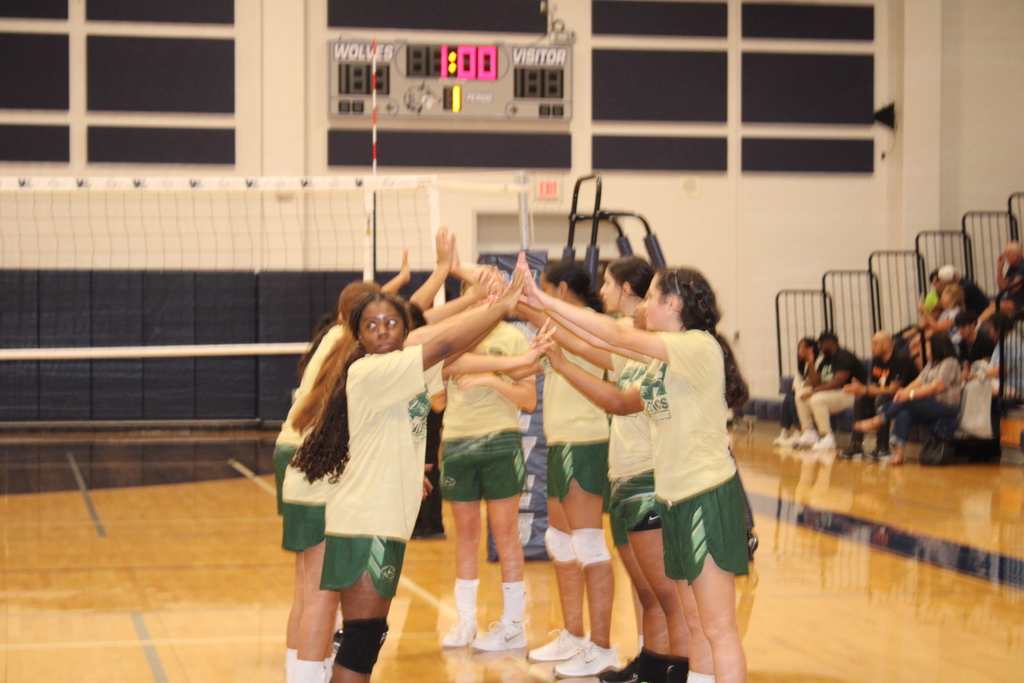 Volleyball Team Building