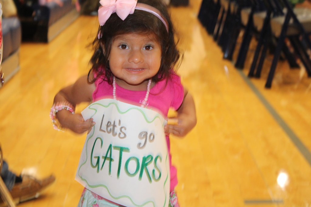 Baby Gator
