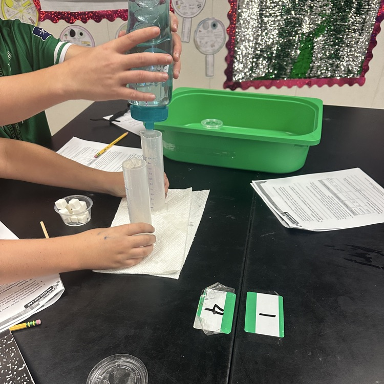 lab
