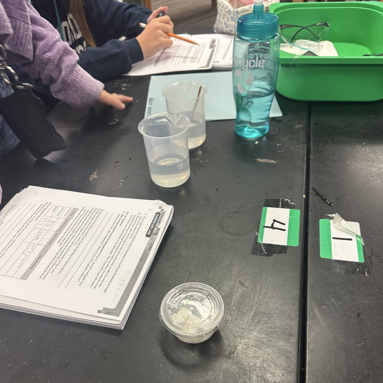 lab