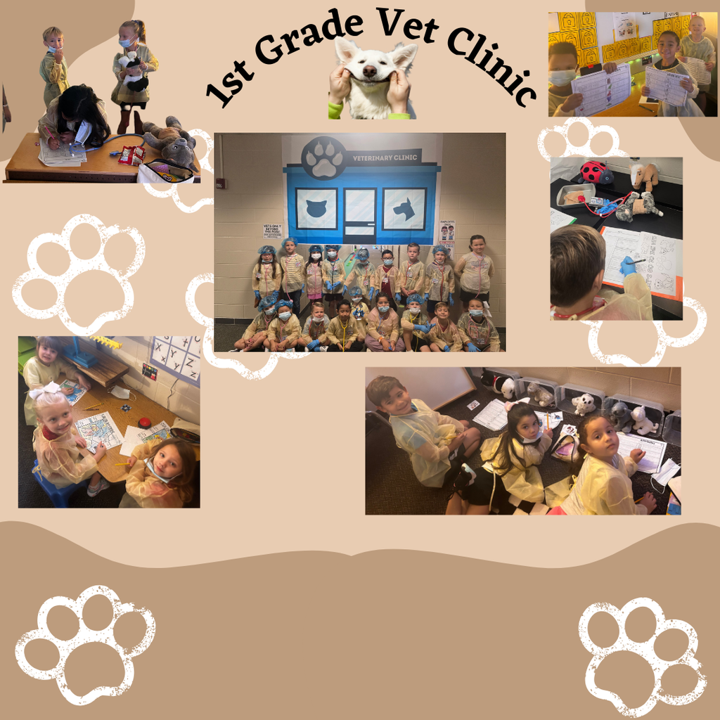 1st Grade Pet Clinic