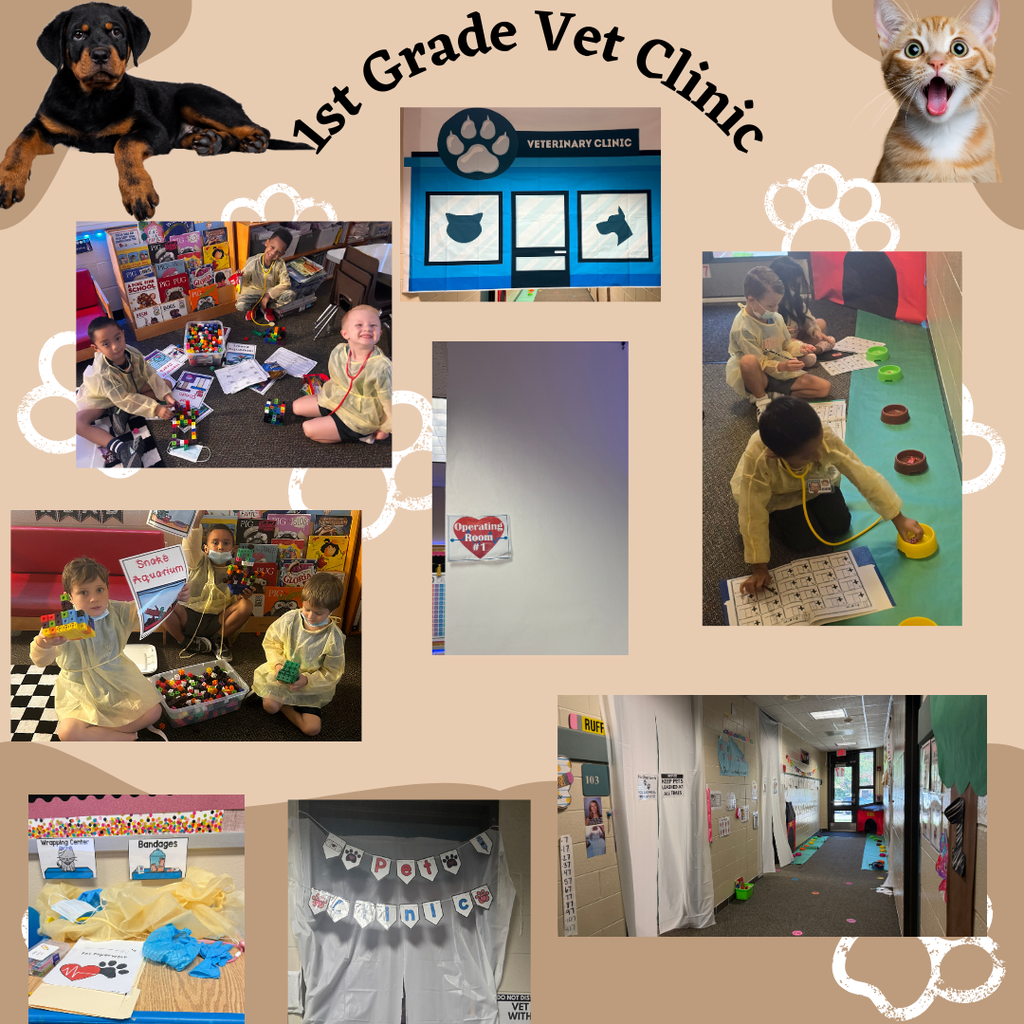 1st Grade Pet Clinic