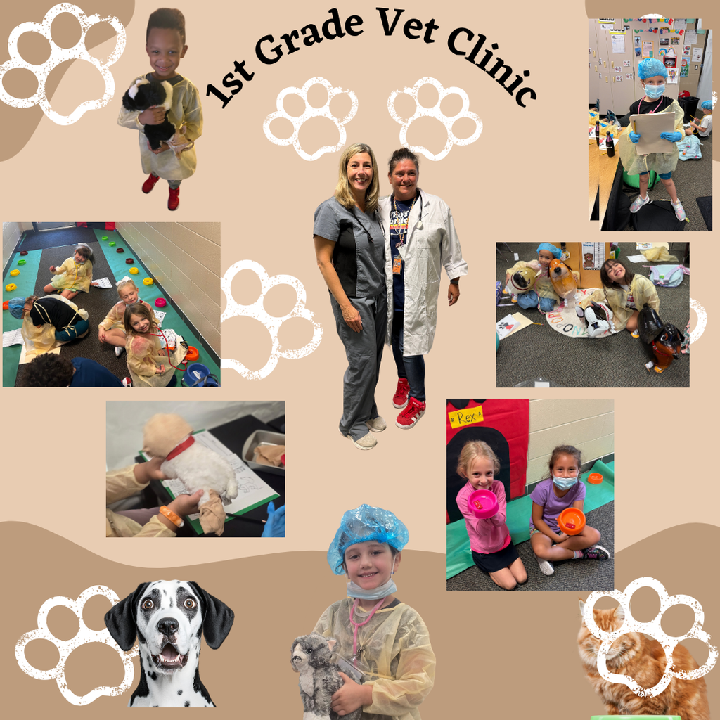 1st Grade Pet Clinic