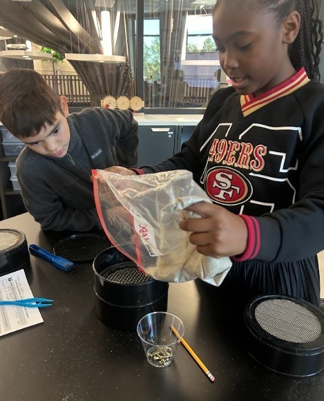 Separating mixtures!