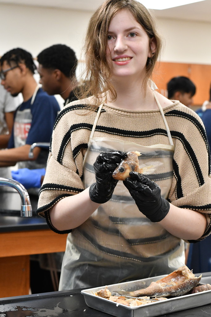 A12_0084