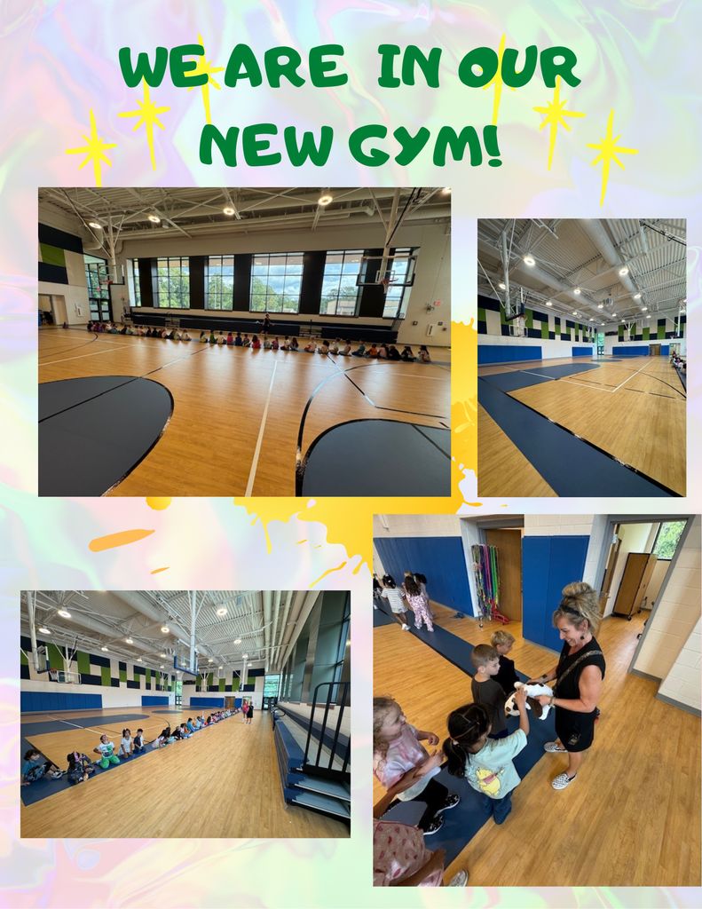 New Gym