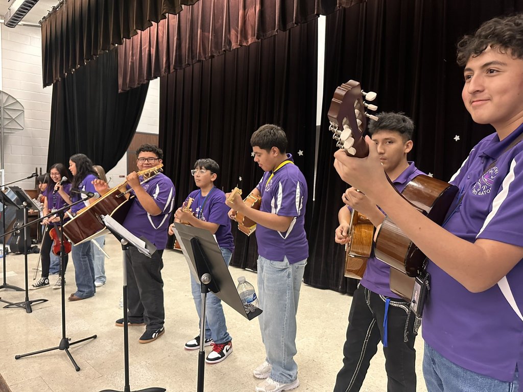 Mariachi Los tres Gatos