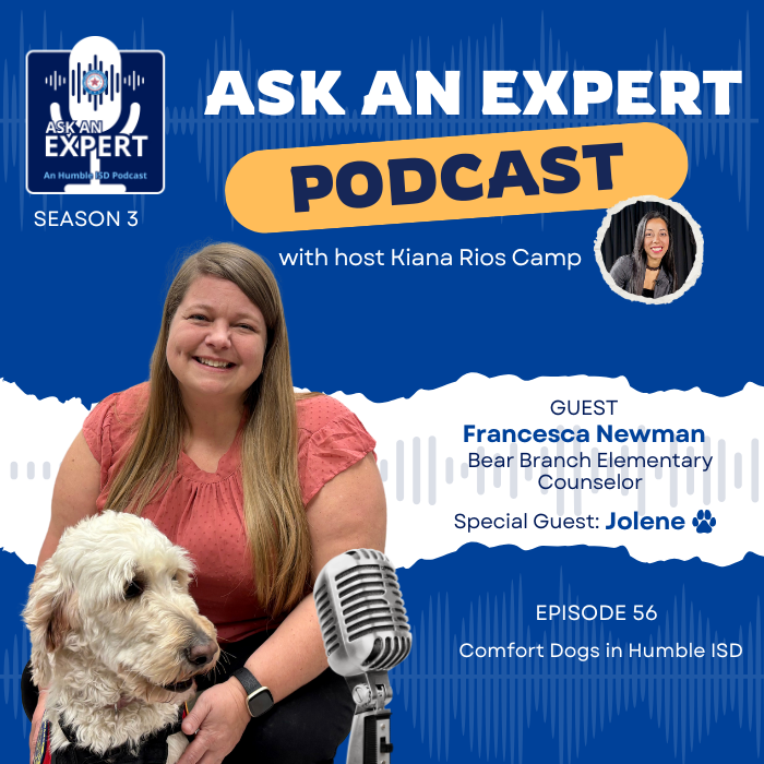 Ask an Expert