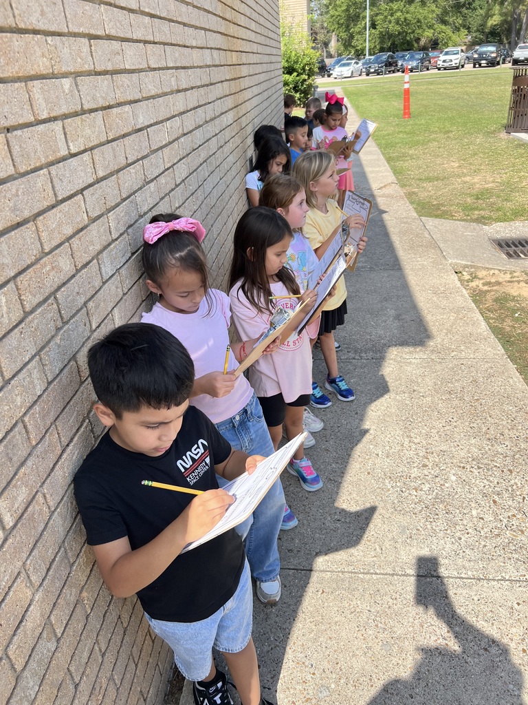 Five Senses Walk