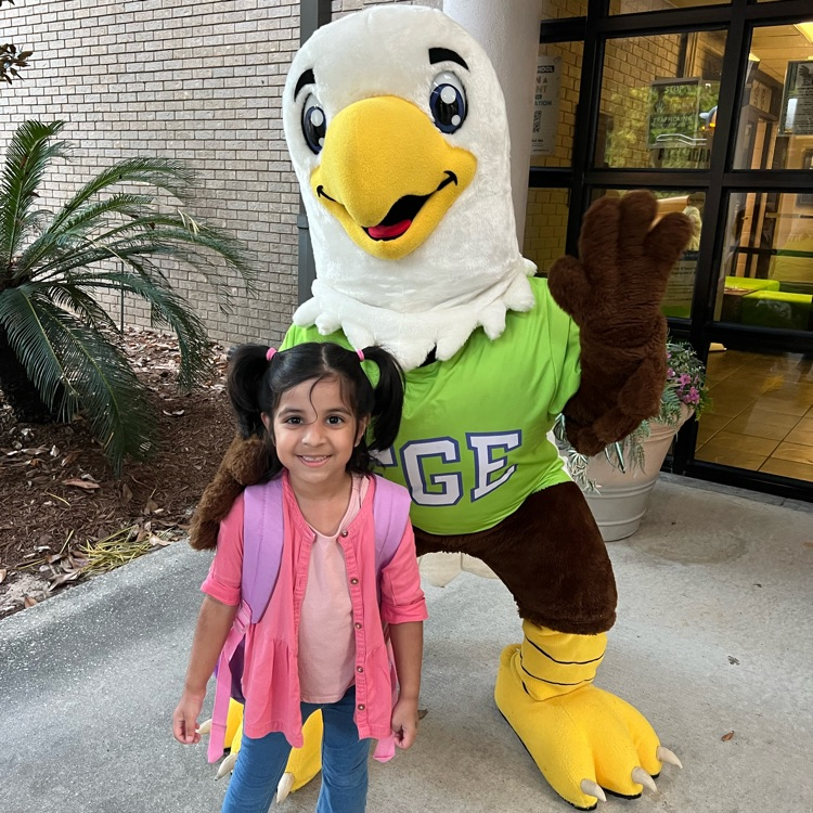 Elmer eagle