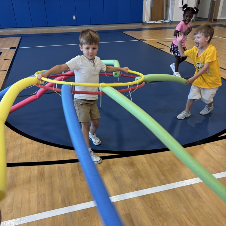 pe spider