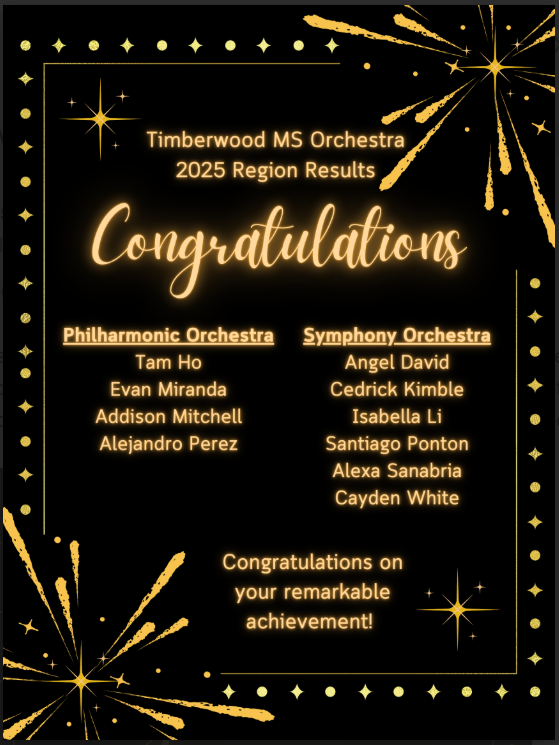 TMS Orchestra