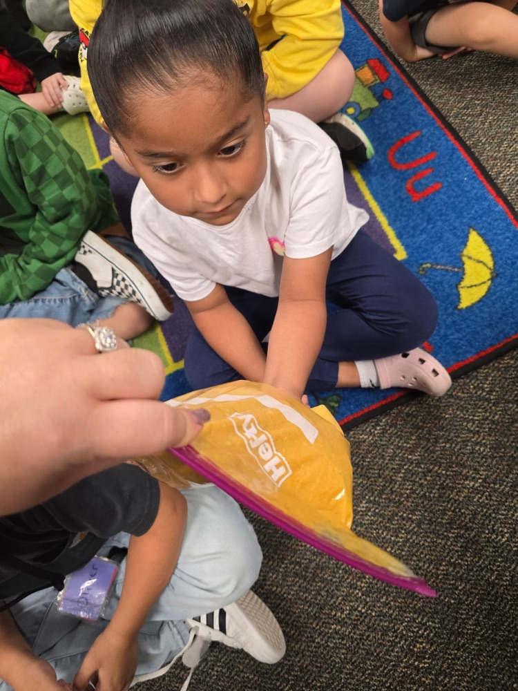 kindergarten pumpkins