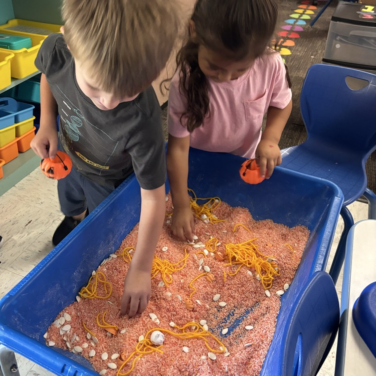 sensory bin 