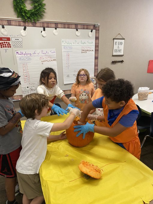Students counted Pumpkin Seeds.