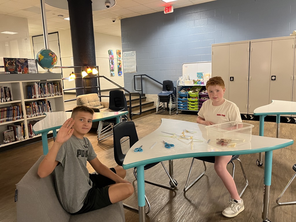 Library Stem Activity