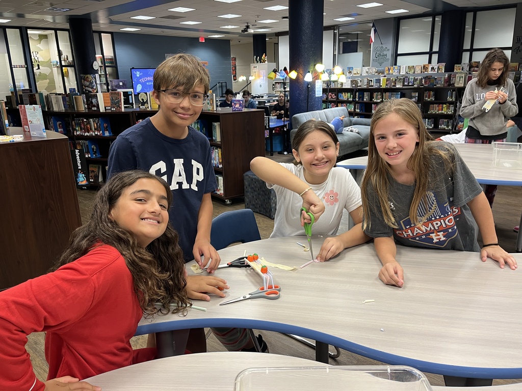 Library Stem Activity