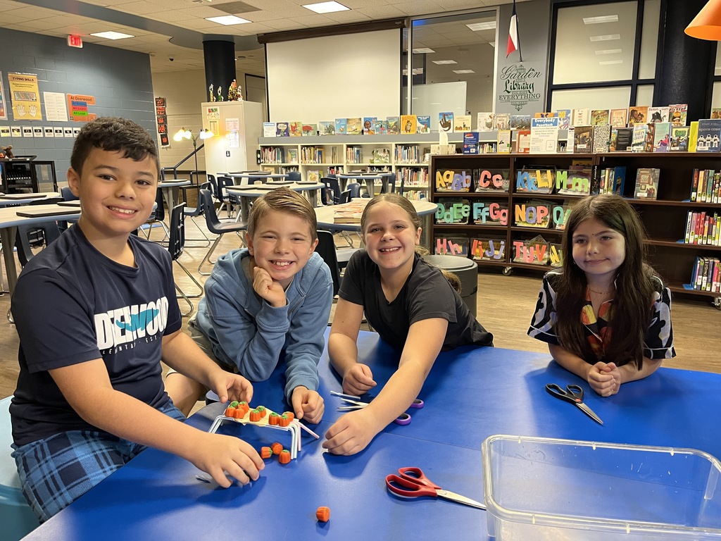 Library Stem Activity
