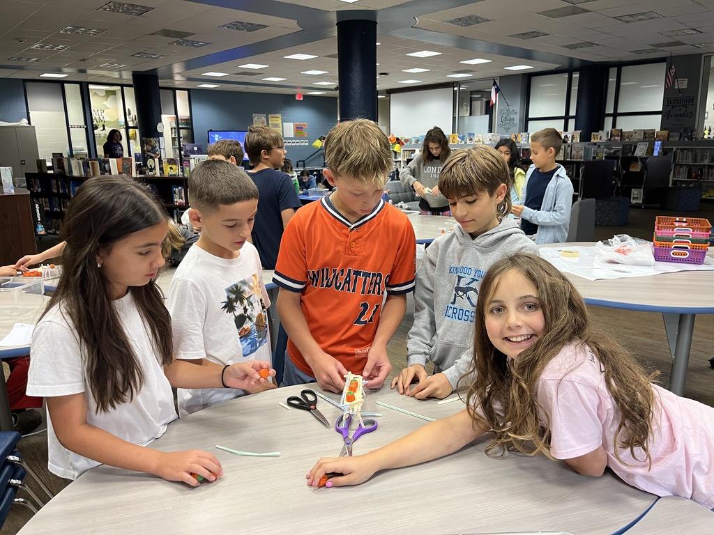 Library Stem Activity