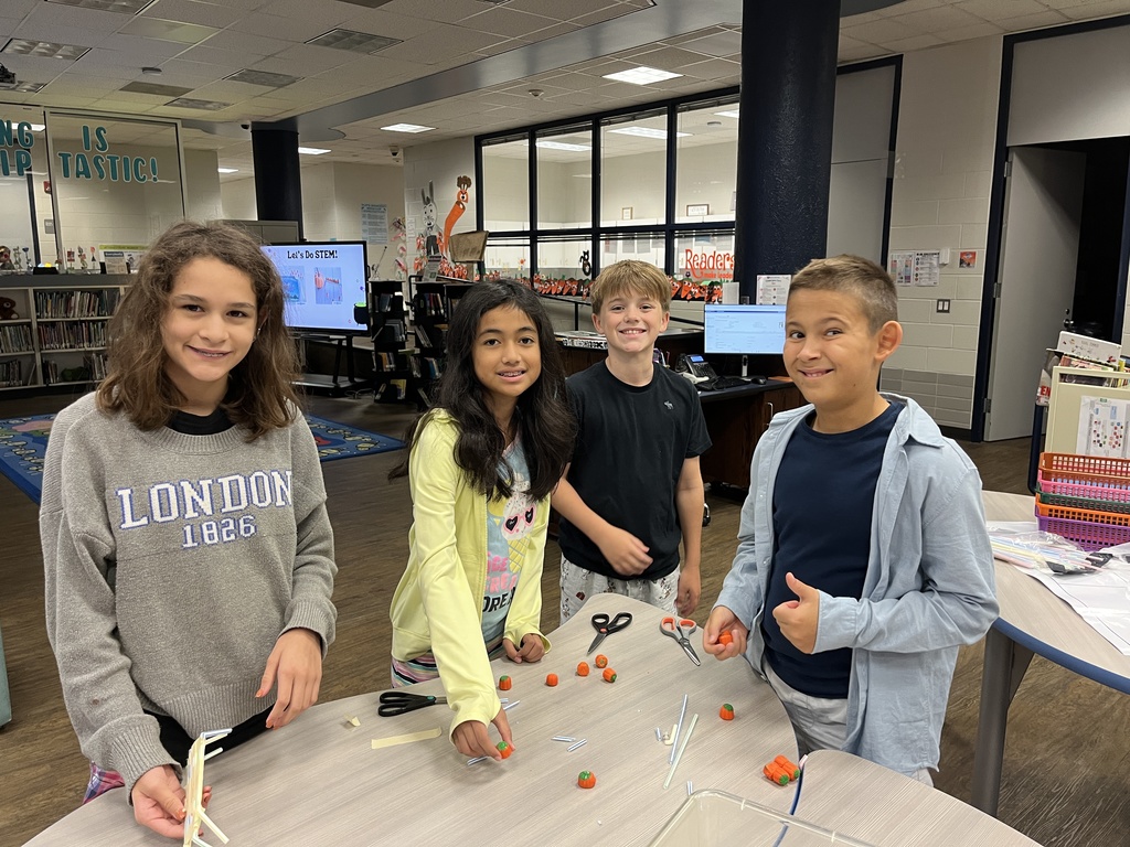 Library Stem Activity