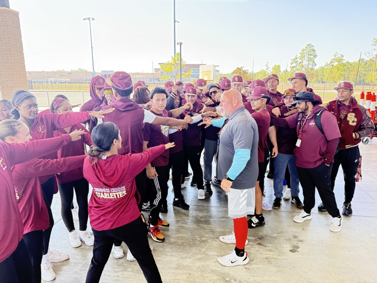 Starlettes and baseball