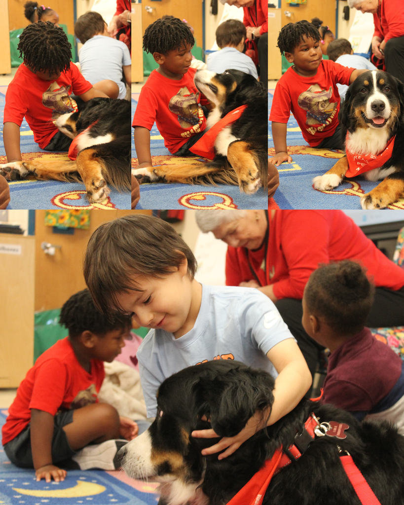 ECC students pet  therapy dogs