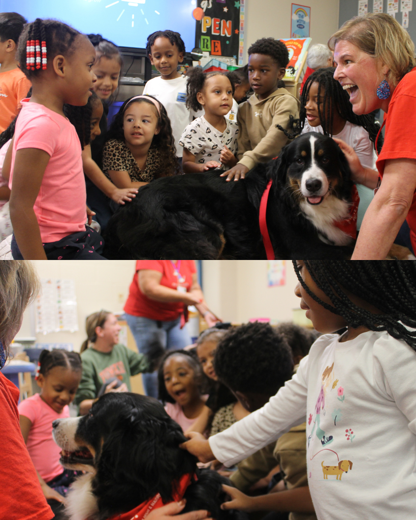 ECC students pet therapy dogs