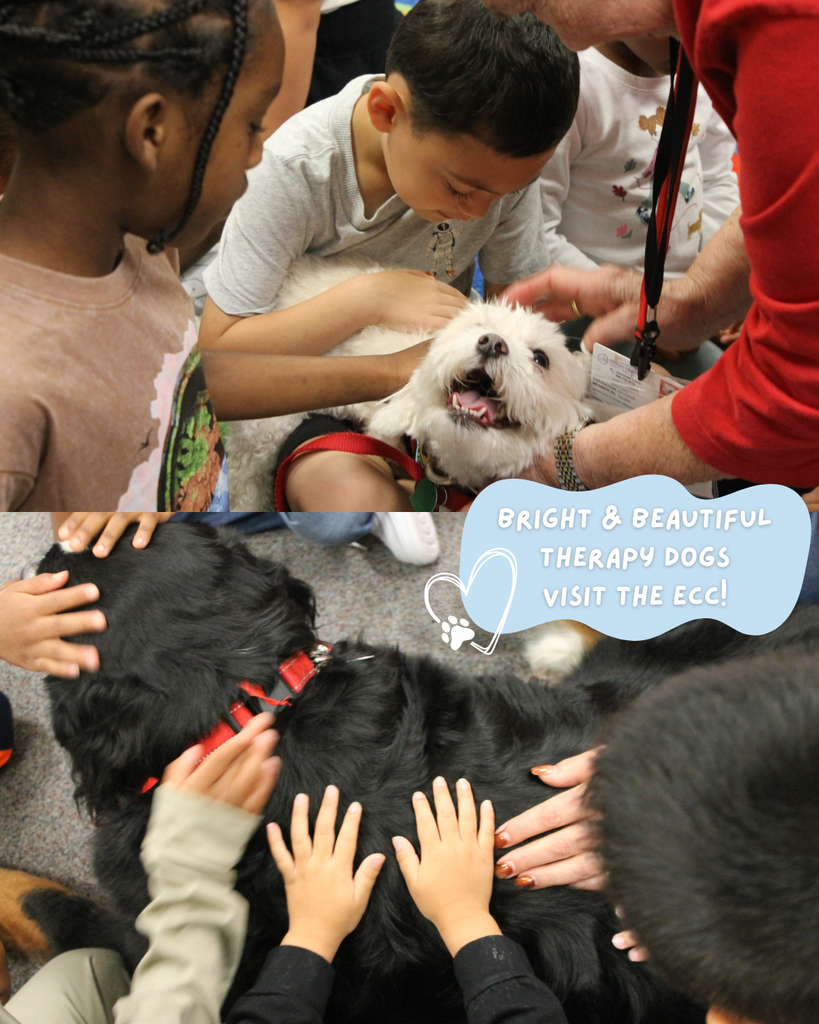 ECC students pet therapy dogs