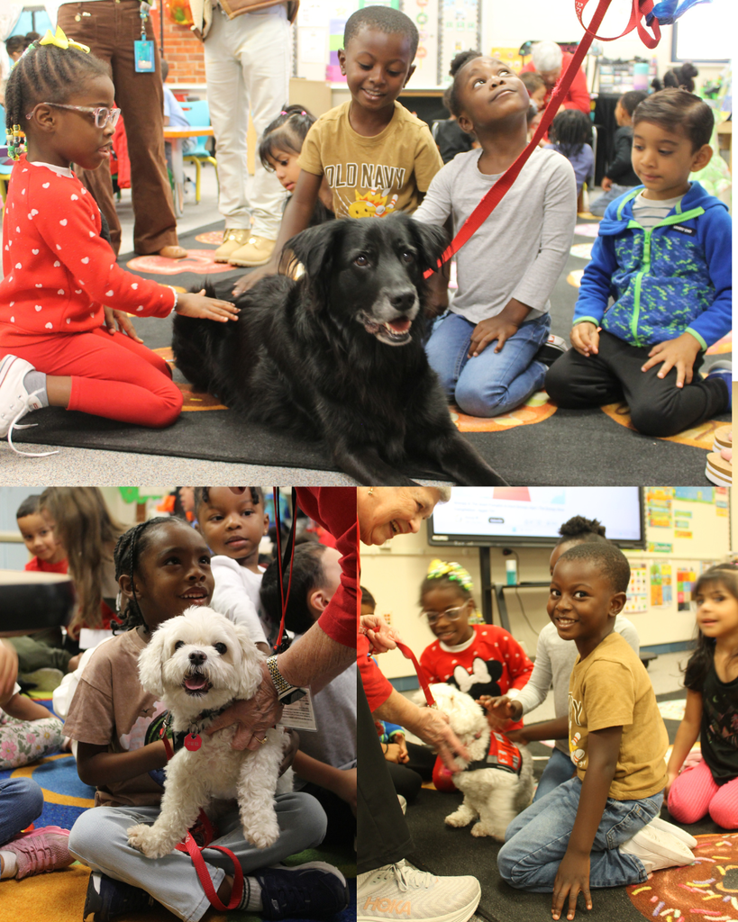 ECC students pet therapy dogs