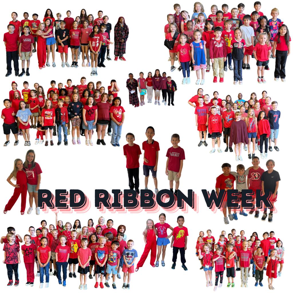 We Make Really Excellent Decisions