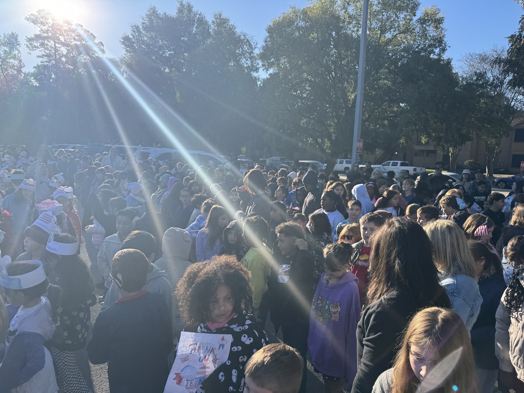 Students watching Veteran's Day ceremony.