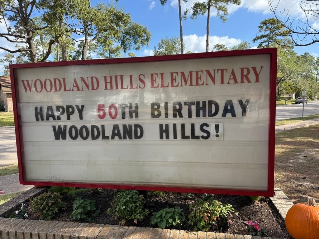 Thanks to everyone who came out to celebrate WHE’s 50th! 🦝 We loved seeing all your faces, catching up with old friends, and making memories together. Here’s to many more adventures!