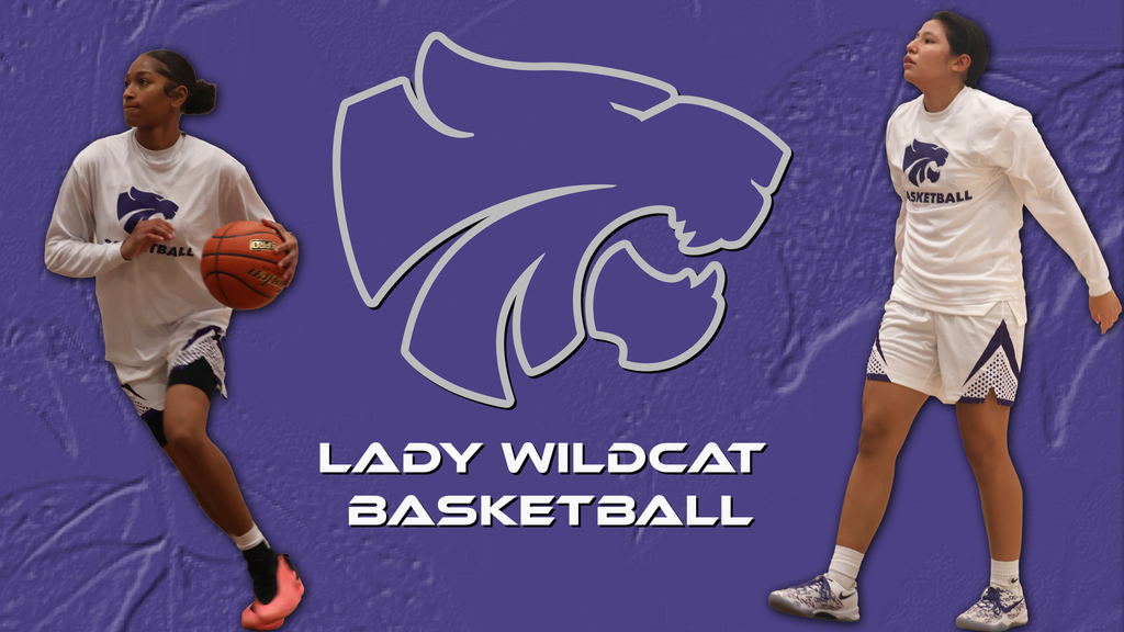 Lady Wildcat Basketball Logo