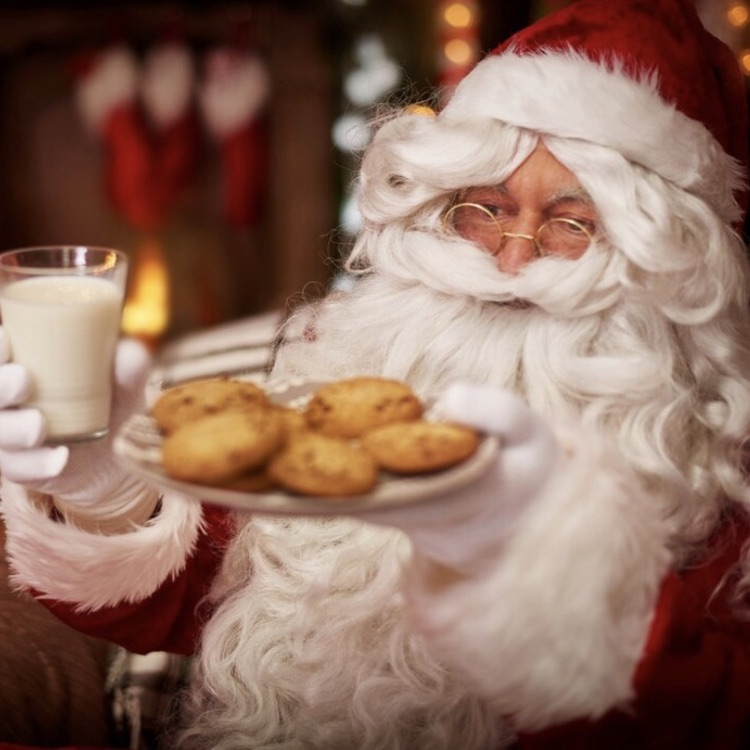 Santa with cookies