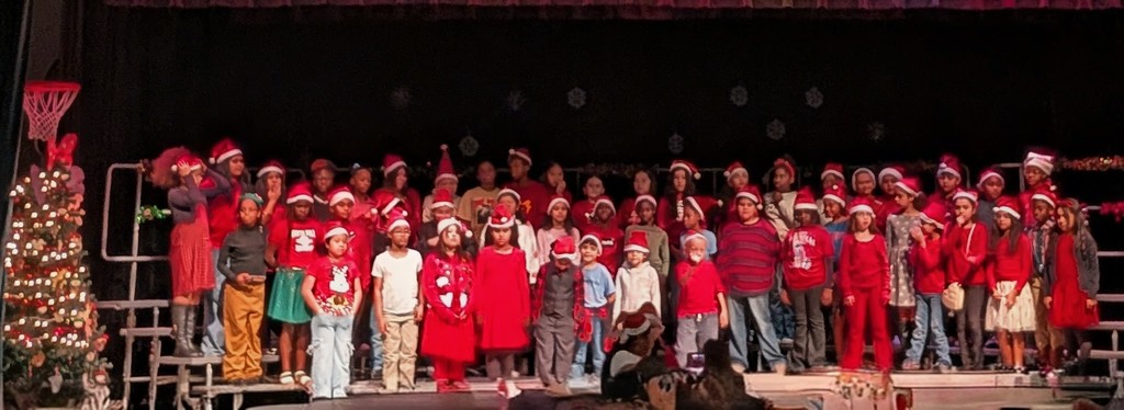 Amazing Voyager Choir