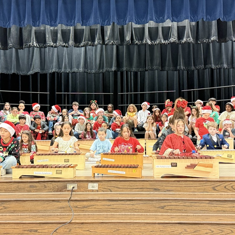 student playing instrument 